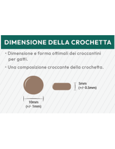 Crocchette gatto anziano pollo e pesce 6kg, superpremium 2