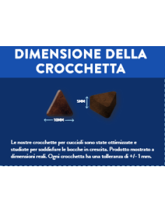 Crocchette cane cucciolo con salmone scozzese da 12kg, superfood grain free 2