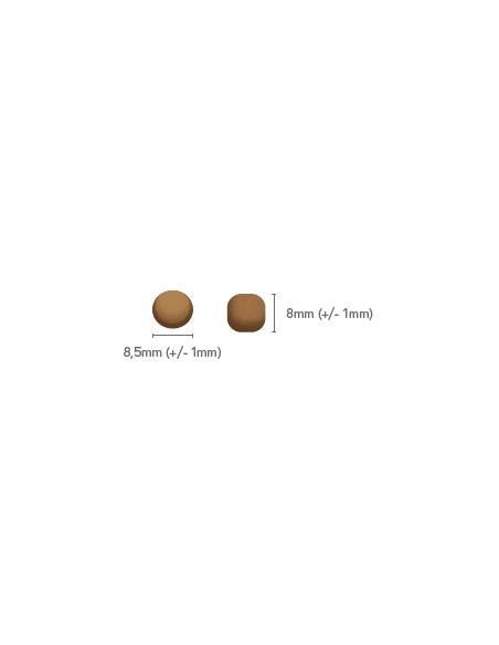 Crocchette cane cucciolo salmone eglefino e patata dolce 6kg grain free Crocchette cane cucciolo salmone eglefino e patata dolce 6kg grain free